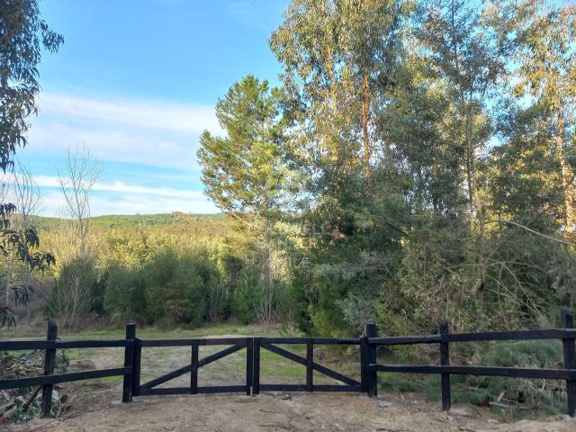 Terreno en venta en Cardonal, Marchigüe