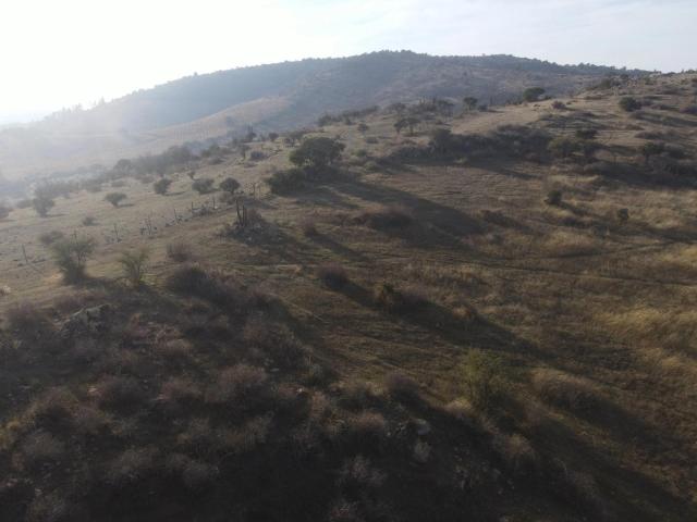 Terreno en venta en Marchigüe, Provincia de Cardenal Caro