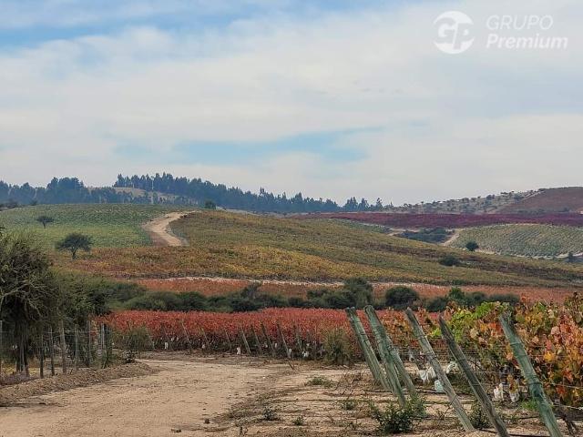 Terreno en venta en Marchigüe, Provincia de Cardenal Caro