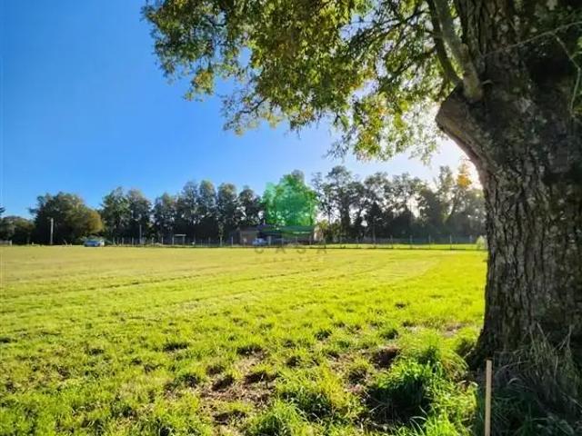 Terreno en venta en Pelchuquin, Los Ríos