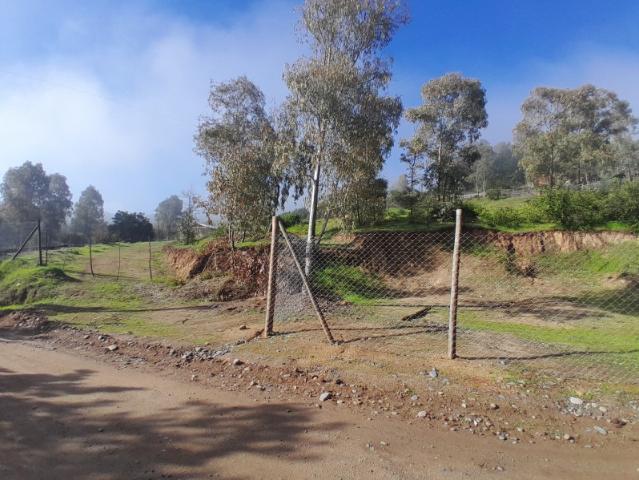 Parcela en Maule