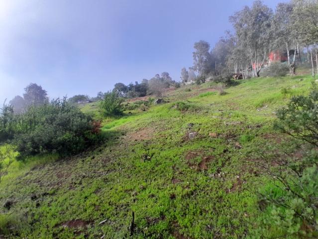 Parcela en Maule