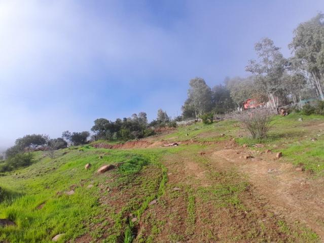 Parcela en Maule