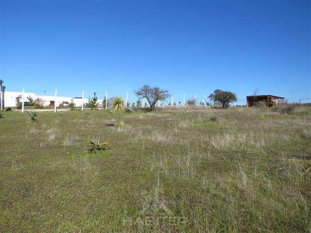 Parcela en Maule