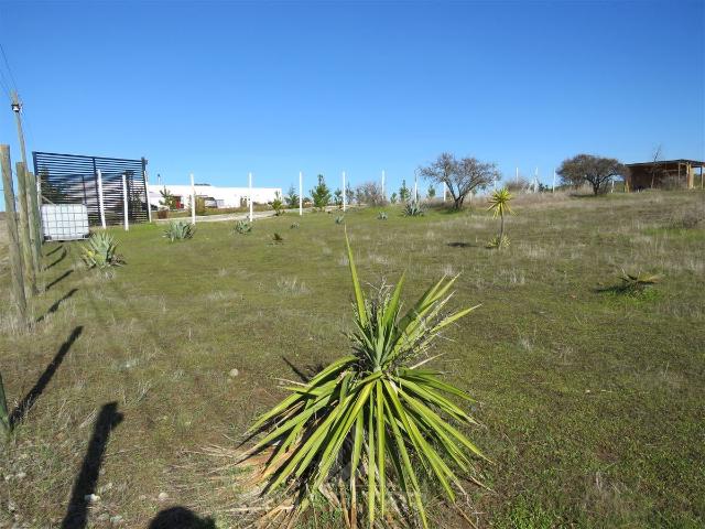 Parcela en Maule