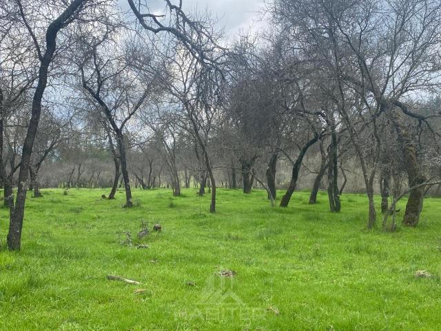 Terreno en venta en Monte Grande, Maule