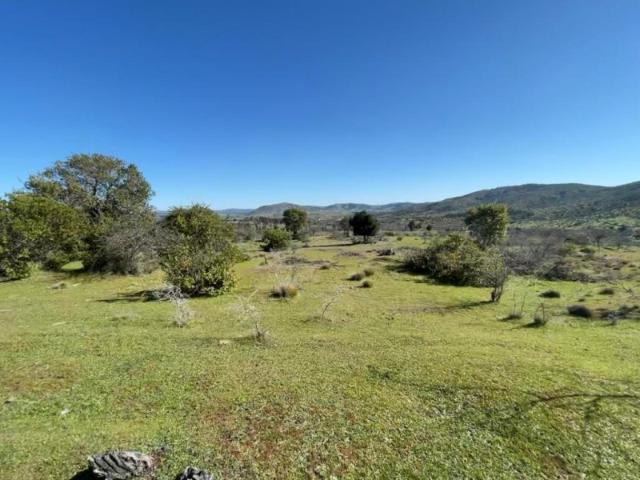 Parcela en Maule