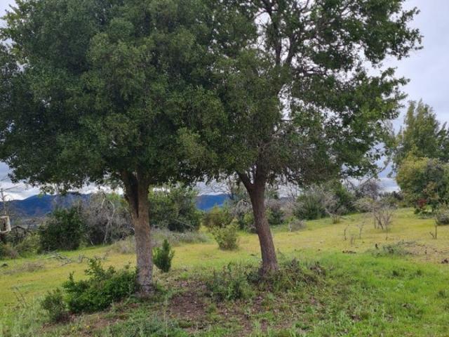 Parcela en Maule