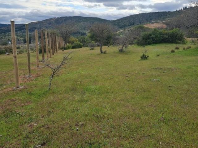 Parcela en Maule