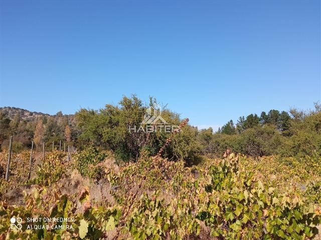 Parcela en Maule