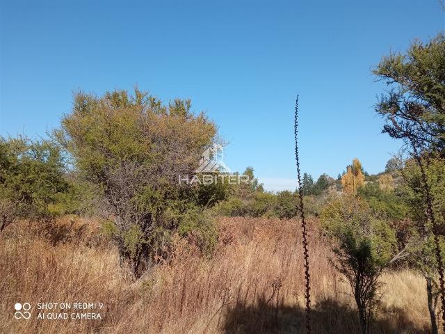 Parcela en Maule
