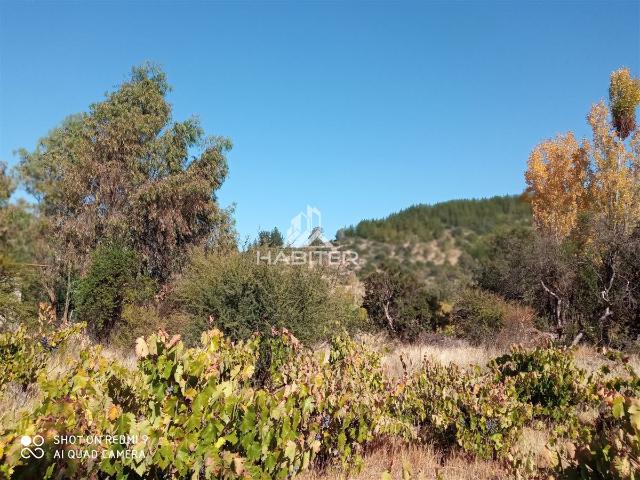 Parcela en Maule