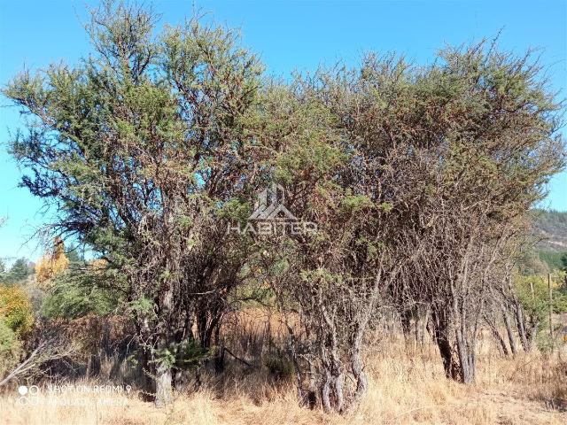 Parcela en Maule