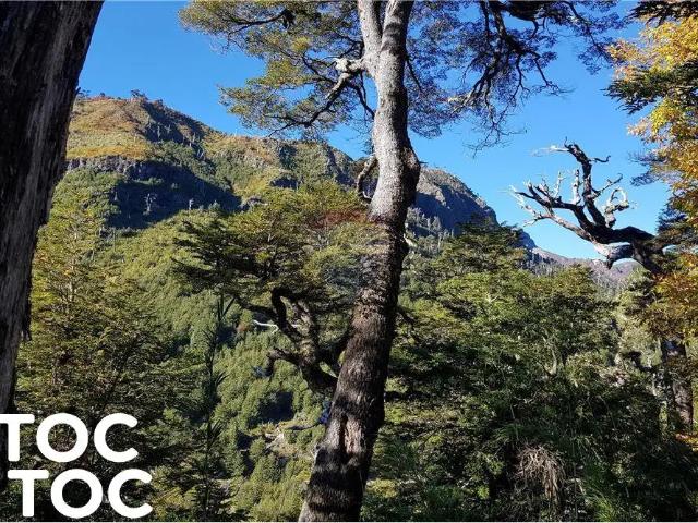Terreno en venta en Melipeuco, La Araucanía