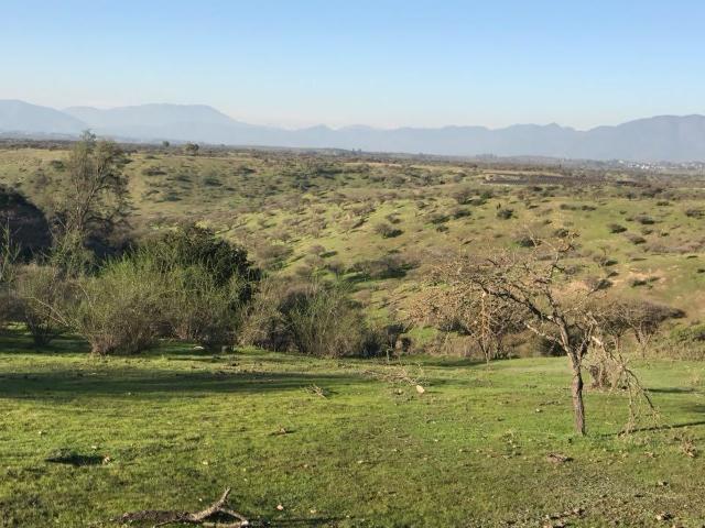 Parcela en Melipilla