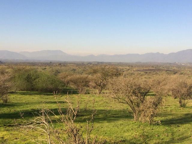 Parcela en Melipilla