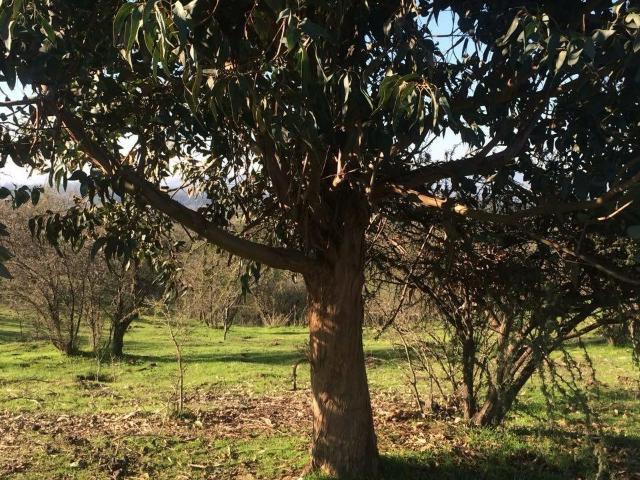 Parcela en Melipilla