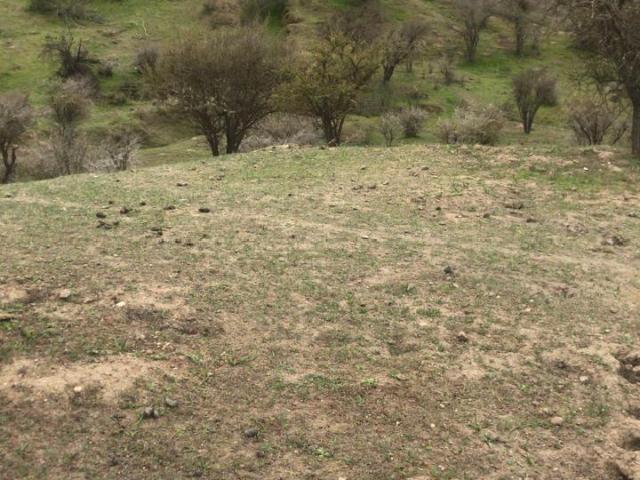 Parcela en Melipilla