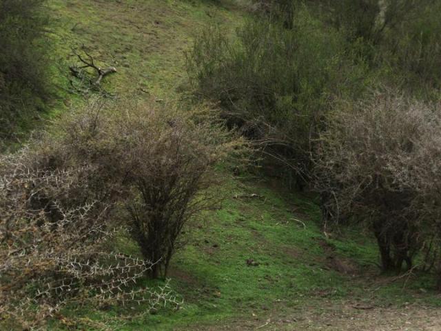 Parcela en Melipilla