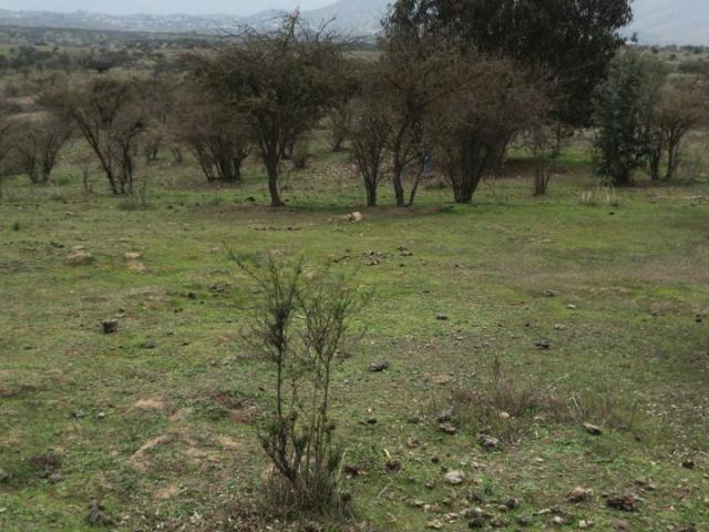 Parcela en Melipilla