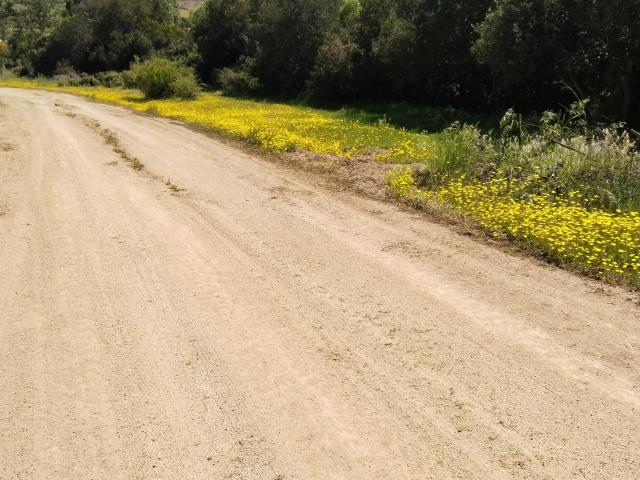 Parcela en Melipilla