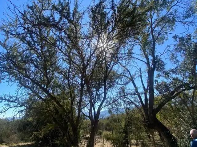Parcela en Melipilla