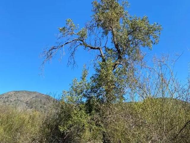 Parcela en Melipilla