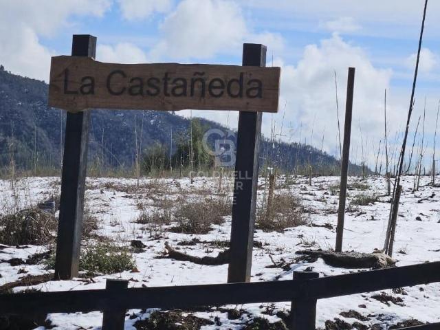 Terreno en venta en Río Claro, Maule