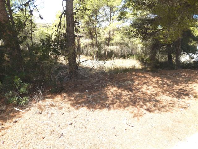 Terreno en venta en Lloma la Mata, la Marina Alta