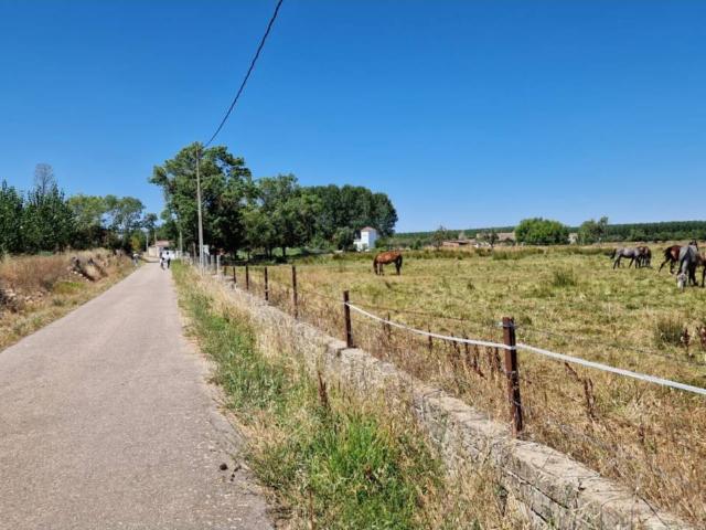 Terreno en venta en Ciudad Rodrigo, Castilla y León