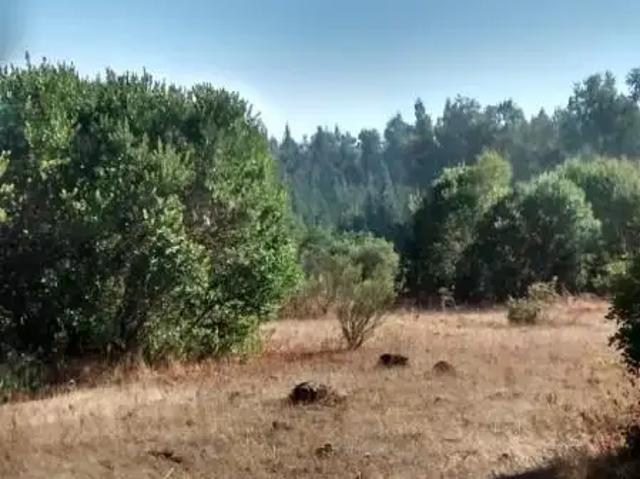 Terreno en venta en Nacimiento, Biobío