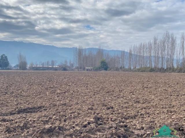 Parcela en Nancagua
