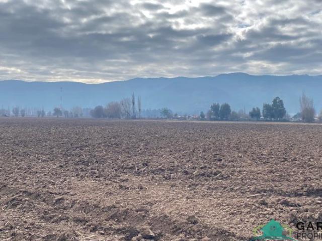 Parcela en Nancagua