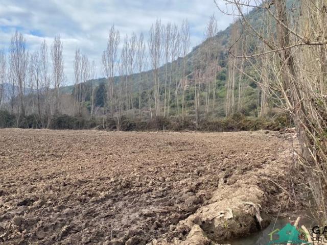Parcela en Nancagua