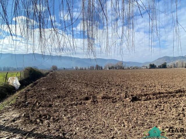 Parcela en Nancagua