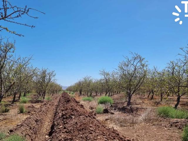 Terreno en venta en Villa Las Acacias, Ovalle