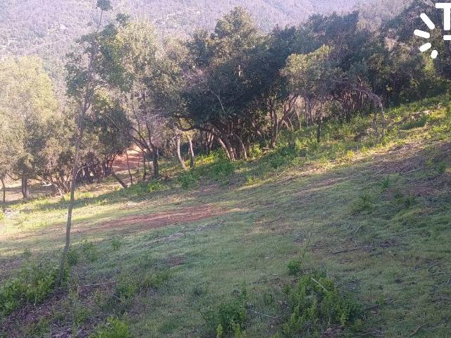 Terreno en venta en Paine, Metropolitana