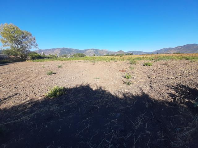 Parcela en Palmilla