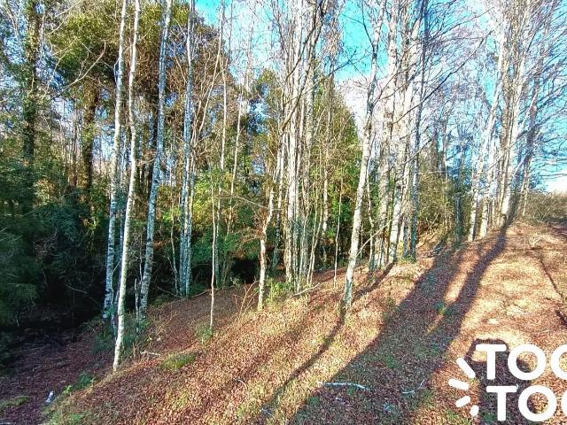 Terreno en venta en Panguipulli, Los Ríos