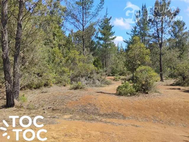 Terreno en venta en Parral, Maule