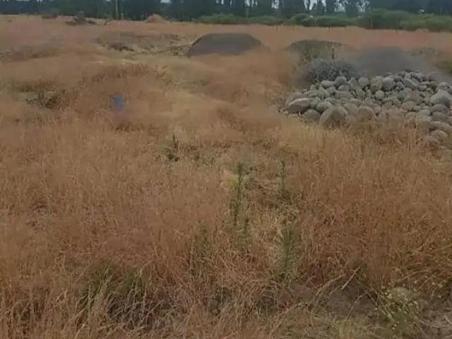 Parcela en Parral