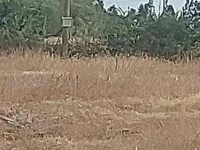 Parcela en Parral