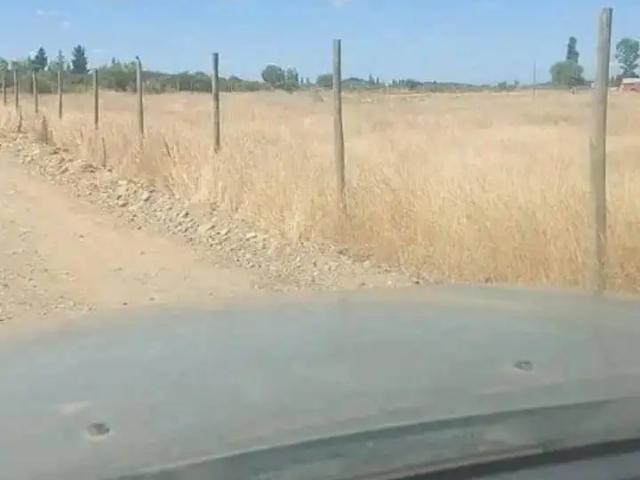 Parcela en Parral