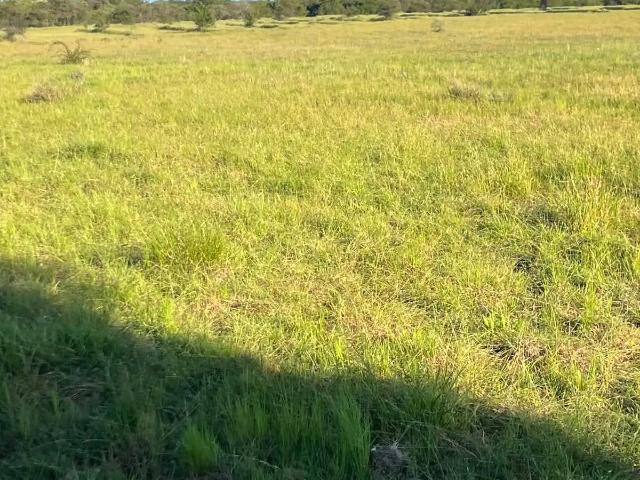 Terreno en venta en Parral, Maule