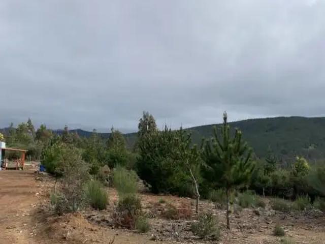 Parcela en Pelluhue