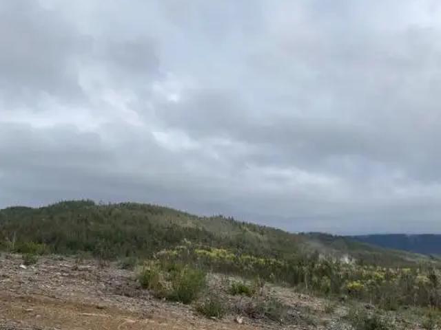 Parcela en Pelluhue