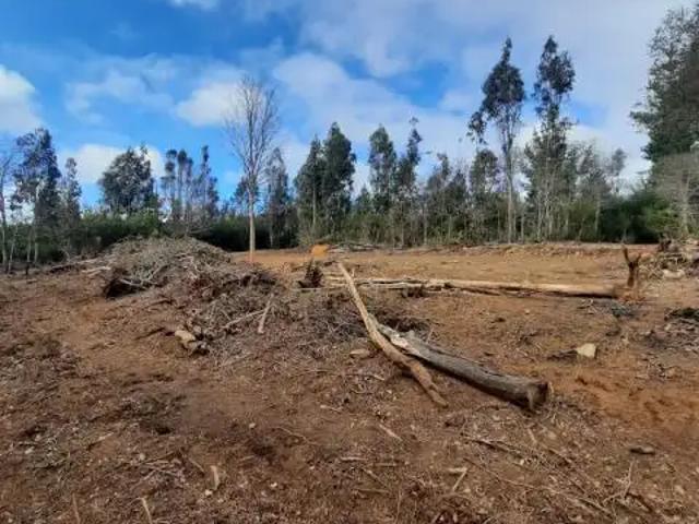 Parcela en Pelluhue