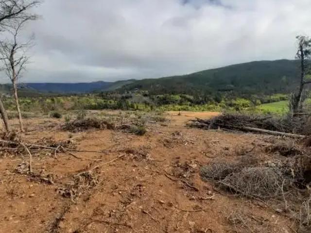 Parcela en Pelluhue