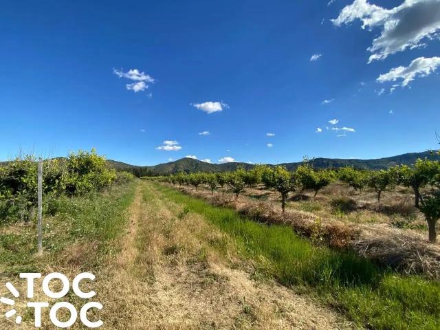 Terreno en venta en El Olivar, Peralillo