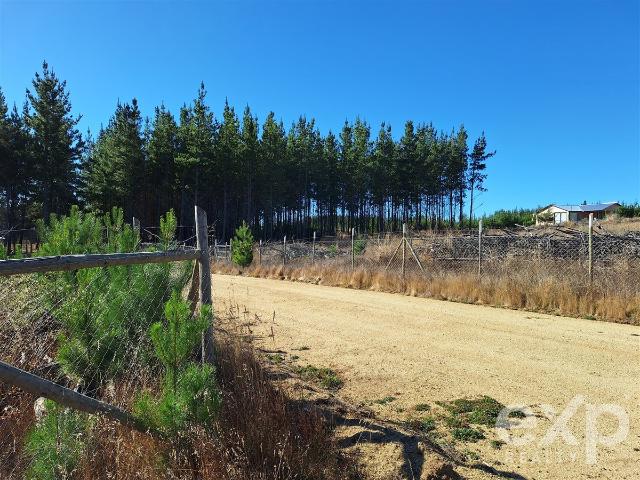 Parcela en Pichilemu